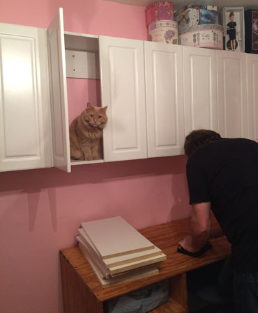 Woody helping Glenn take down cabinets