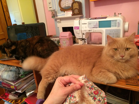 Sewing with cats, as per usual!