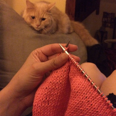 Woody the cat has decided to let me knit at home, at last!
